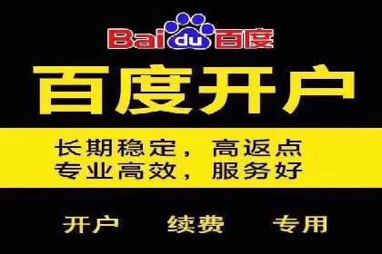 SEM竞价代运营公司成功案例：如何提升广告转化率